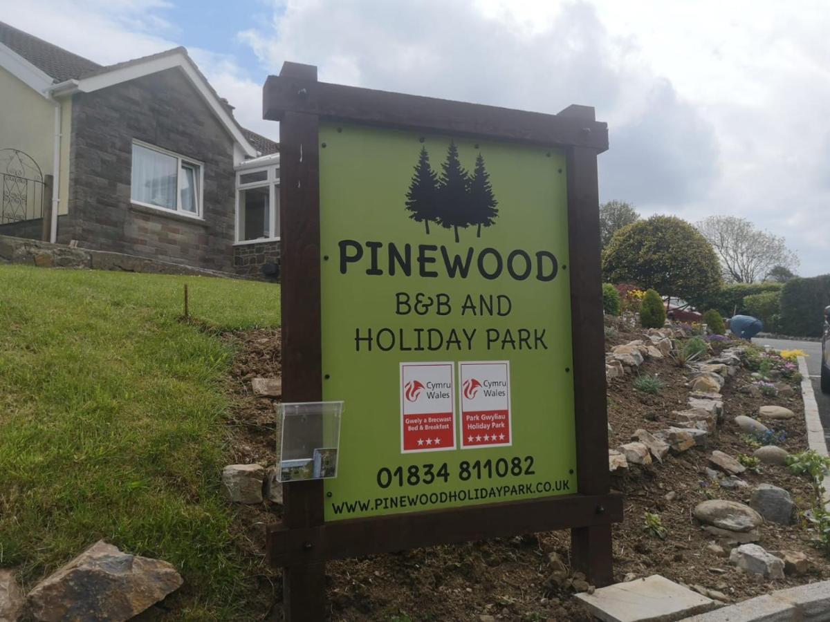 Pinewood B&B Saundersfoot Exteriör bild